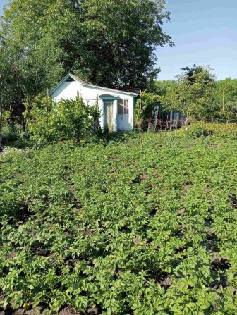 Продам дачу в СО Аист ( Богуслав ) - фото 1