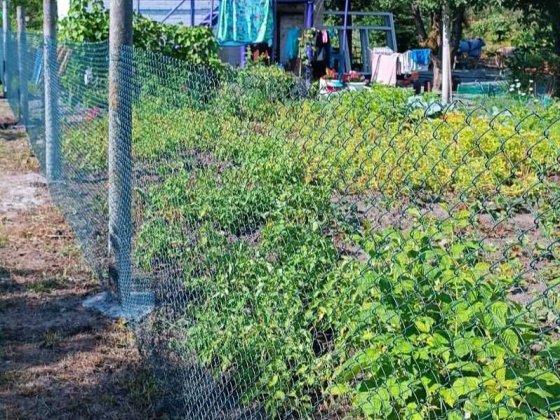 Продам дачу в районі ПХЗ