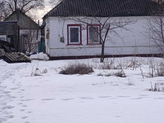 Будинок у селі Яблунівка Прилуцького району по вулиці Польова,4 Прилуки