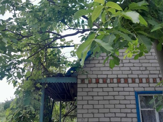 Продажа дачи Светловодск,  сады 3 Світловодськ