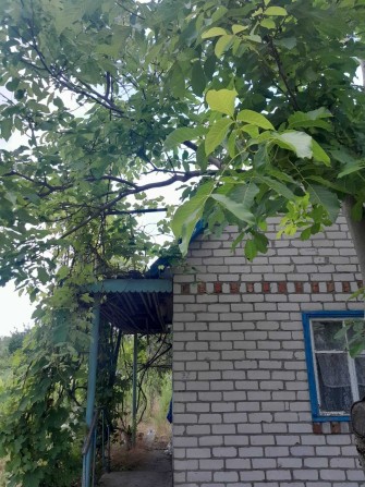 Продажа дачи Светловодск,  сады 3 - фото 1