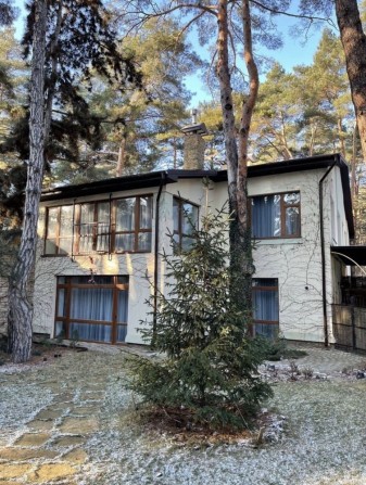 Дом в сосновом лесу - фото 1