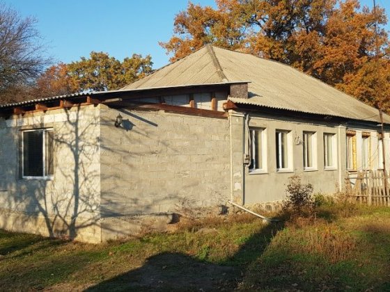 Крыловское лесництво г.Светловодске Світловодськ