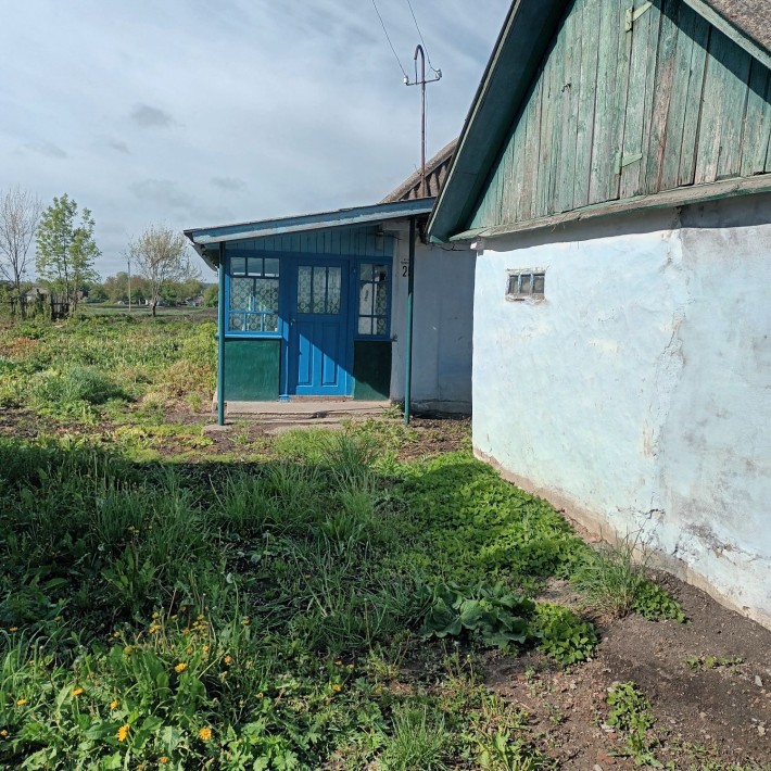 Продам хату в селі. - фото 1