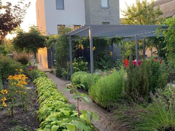 Без %, Українка,Обухівський, на березі р. Стугна Новая Украинка