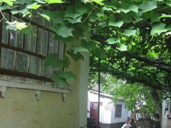 Продається Будинок в с. Родниківка Умань