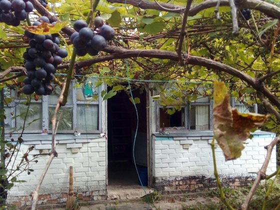 Дача под Фастовом Фастів