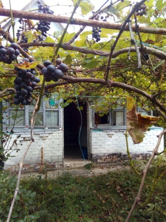 Дача под Фастовом - фото 1