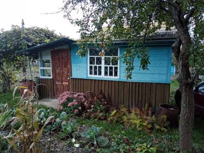 Сад с домиком в черте города - фото 1