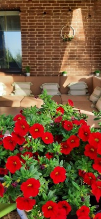 Продається затишний будинок - фото 1