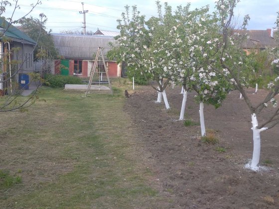 Продається будинок Гайсин