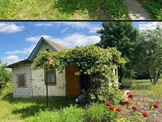 1-поверховий будинок Дубове Хмельницький