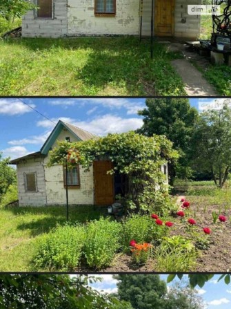 1-поверховий будинок Дубове - фото 1