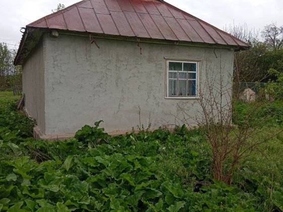 Продається будинок з участком забляє будинок приватизовані Погребище
