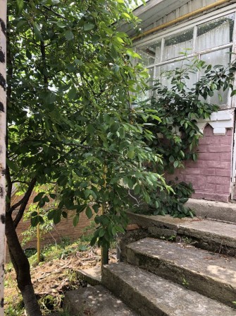 Будиночок Бохоники - фото 1