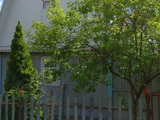 Дачна ділянка з будиночком Гаразджа