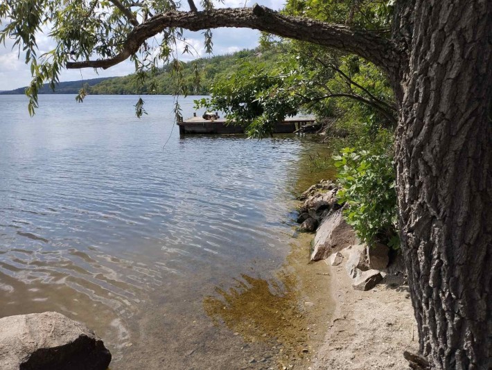 Продам приватизовану дачу в селі Майорка - фото 1