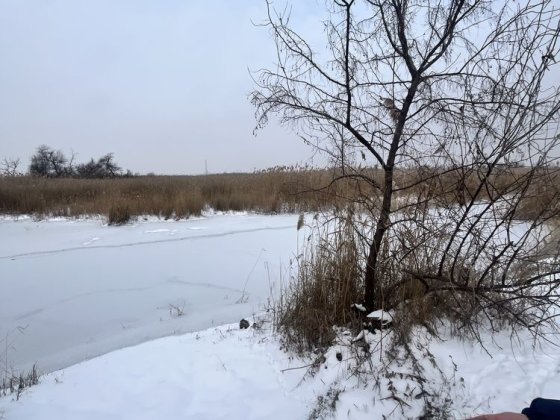 Продам прекрасную дачу. Новоселовка