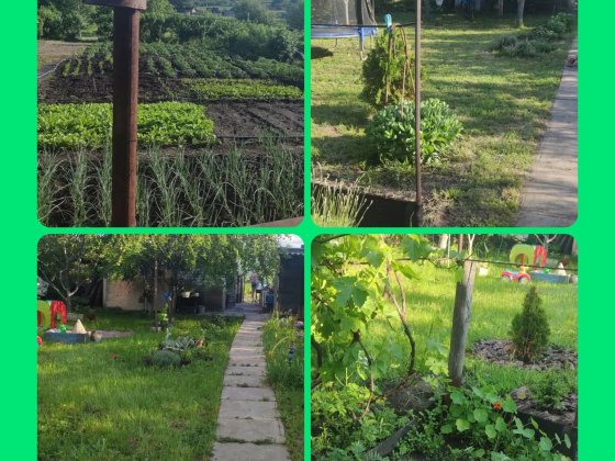 Продам дачу  в садовом обществе Рассвет Тернівка