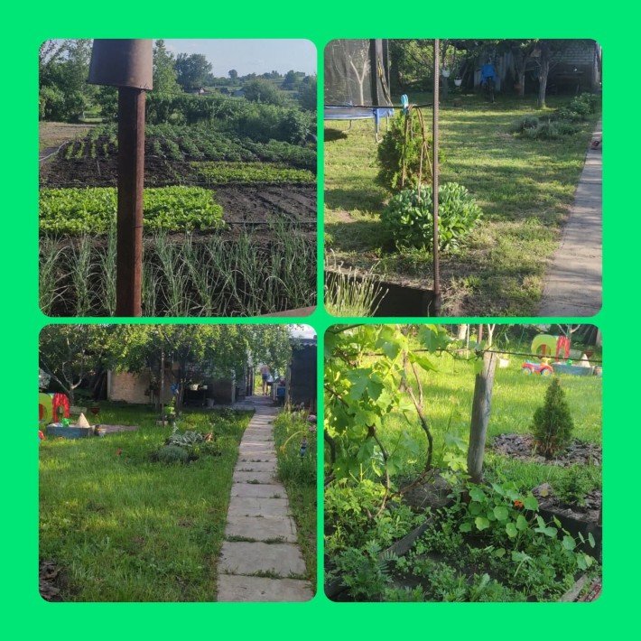 Продам дачу  в садовом обществе Рассвет - фото 1