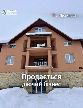 Садиба в селі Пилипець Закарпатськоі області - фото 1