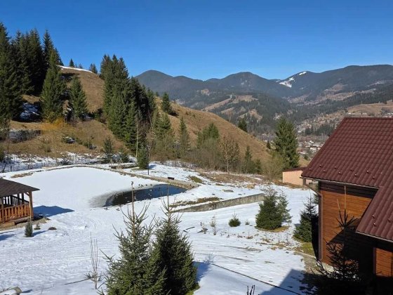 Унікальний будинок у горах!Терміново Верховина