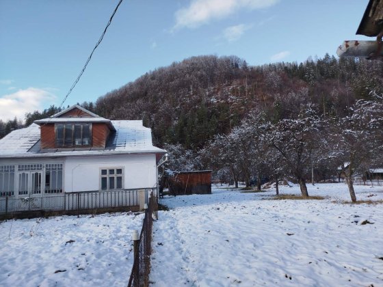 Будинок в Карпатах Косов