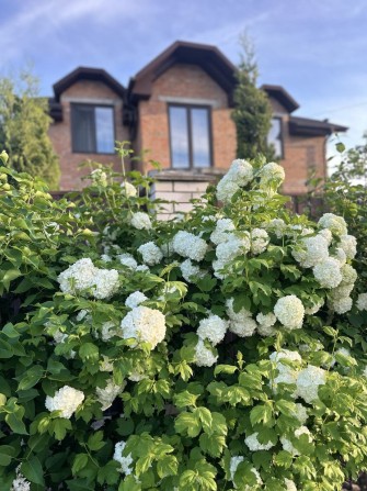 ВЛАСНИК . Світло є завжди ! Будинок мрії чекає на вас с.Гореничі - фото 1