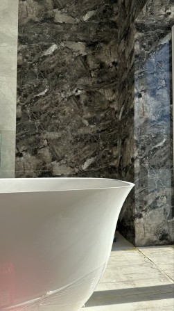 Одноповерховий  будинок з ремонтом у Гореничах 180 м2 10 соток Газ - фото 1