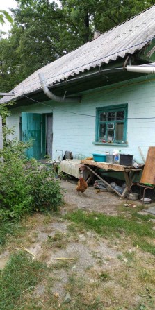 Приватний будинок - фото 1