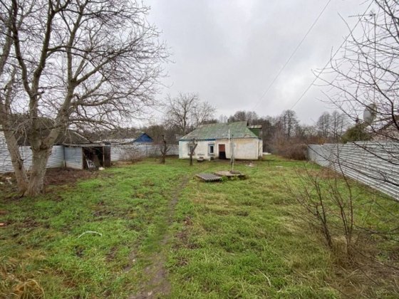 Цегляний будинок 75 м² + 30 соток | ліс, річка село Дружня Бородянка