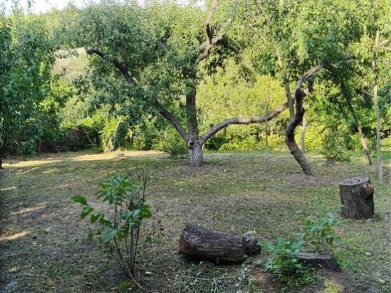 Без комісії! Продаж будинку (старого) с.Ржищів, Киівська область Ржищів