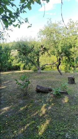 Без комісії! Продаж будинку (старого) с.Ржищів, Киівська область - фото 1