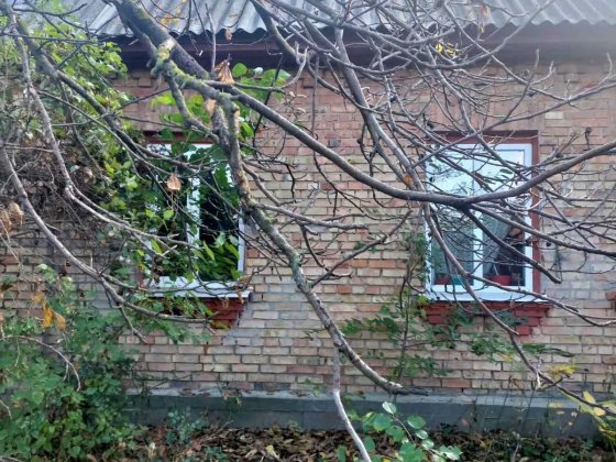 Мальовничий одноповерховий будинок Димер Димер