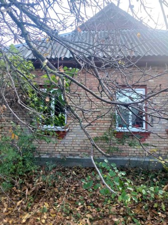 Мальовничий одноповерховий будинок Димер - фото 1