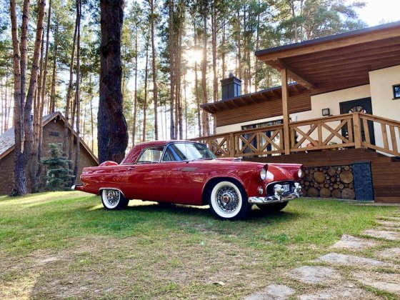 Продаж усадьби,двох заміських будинків в заповідній зоні 1,1га Глеваха Глеваха