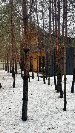 Будинок у лісі, поряд озера, ділянка 10 сот. Чистова. 22 км від Києва - фото 1