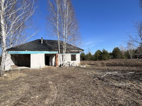 Будинок в лісі з гаражем, САМА НИЗЬКА ЦІНА!!! Дмитрівка