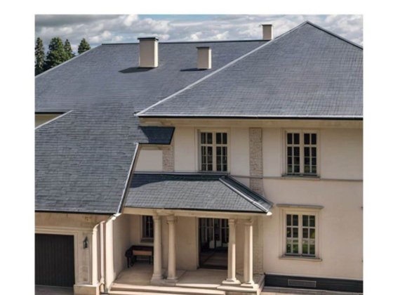 Розкішний маєток серед лісу Забуччя