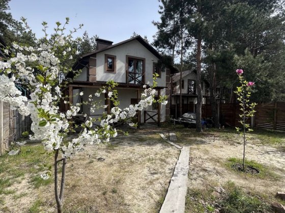 Будинок Кийлів набережна Дніпра,камін Кийлов