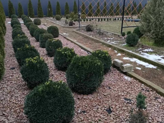 Продаж Будинку в Лебедівці поруч Ліс ! Київське Море! Є-Відновлення Лебедевка