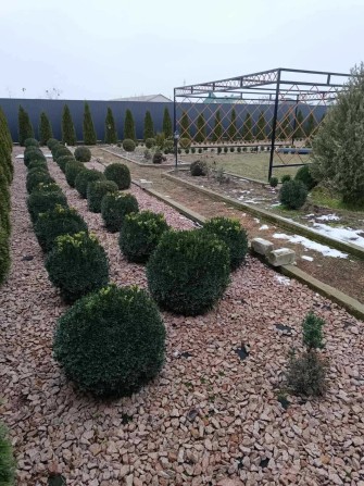 Продаж Будинку в Лебедівці поруч Ліс ! Київське Море! Є-Відновлення - фото 1