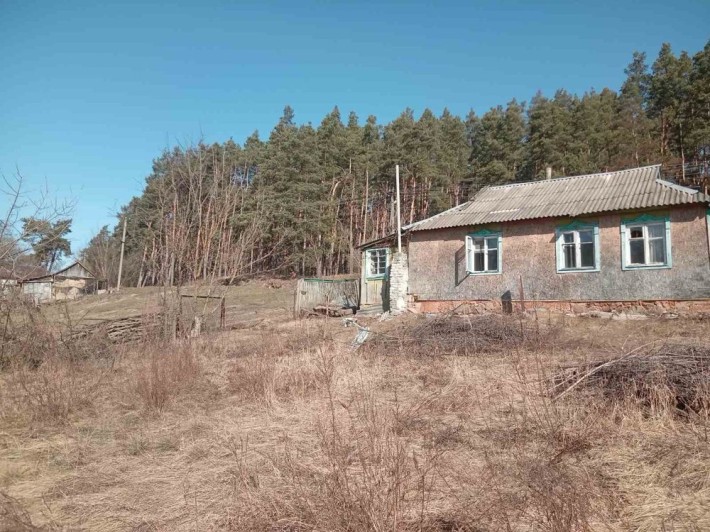Будинок біля соснового лісу в с. Малютянка - фото 1