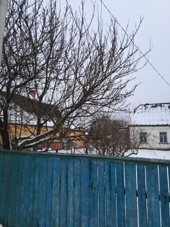 Будинок із земельною ділянкою - фото 1