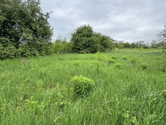 Продаж будинку у селі Музичі Київської області Музичі