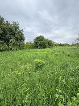 Продаж будинку у селі Музичі Київської області - фото 1