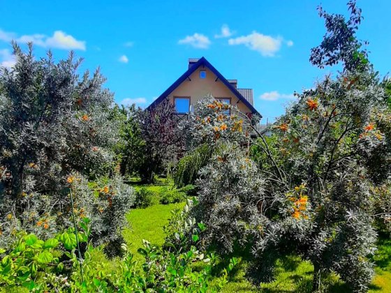 Продам будинок в Плесецькому.  162м.кв. Плесецьке