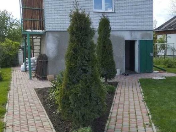 Продаж будинку-дачі С Старі Безрадичі! Озеро, риболовля, ліс! Старые Безрадичи