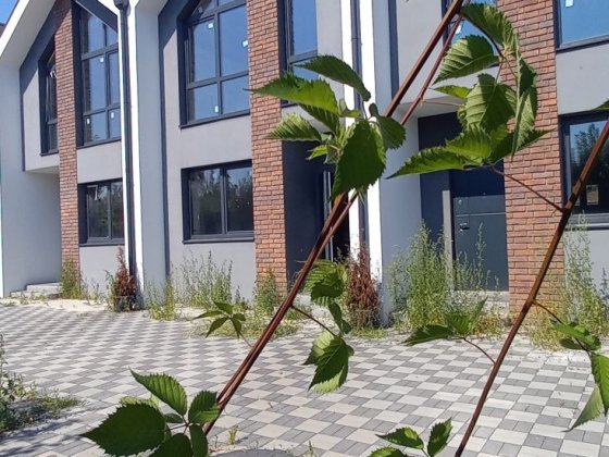 Последний свободный  таун в Хотяновке. Газ