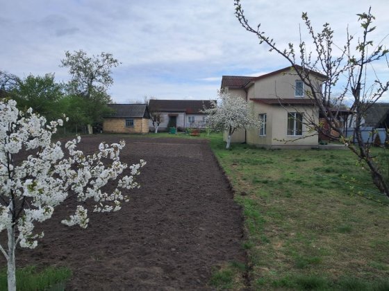 Продам участок 23 сотки та будинки Хотяновка